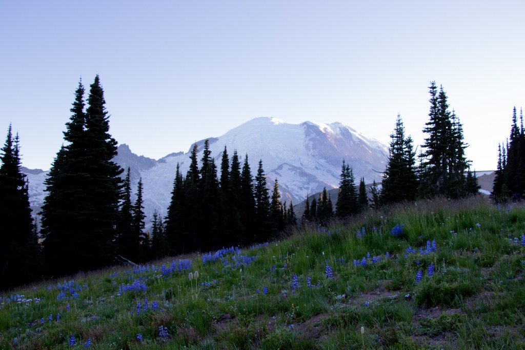 Emeline Lee - Initial Sundown of Mount Rainier