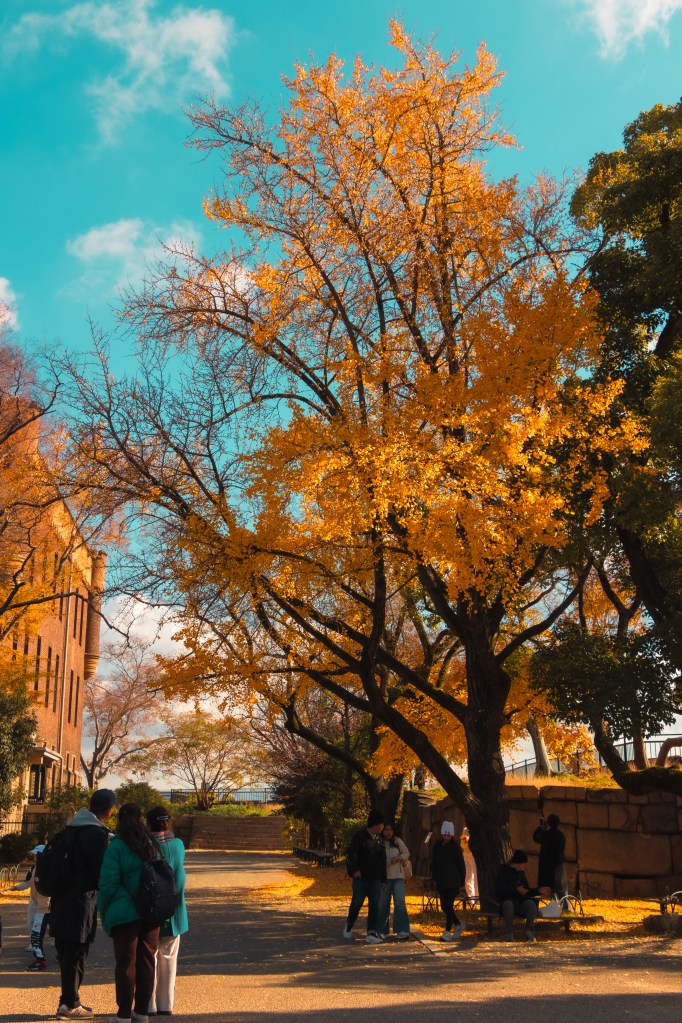 Emeline Lee - Osaka Castle