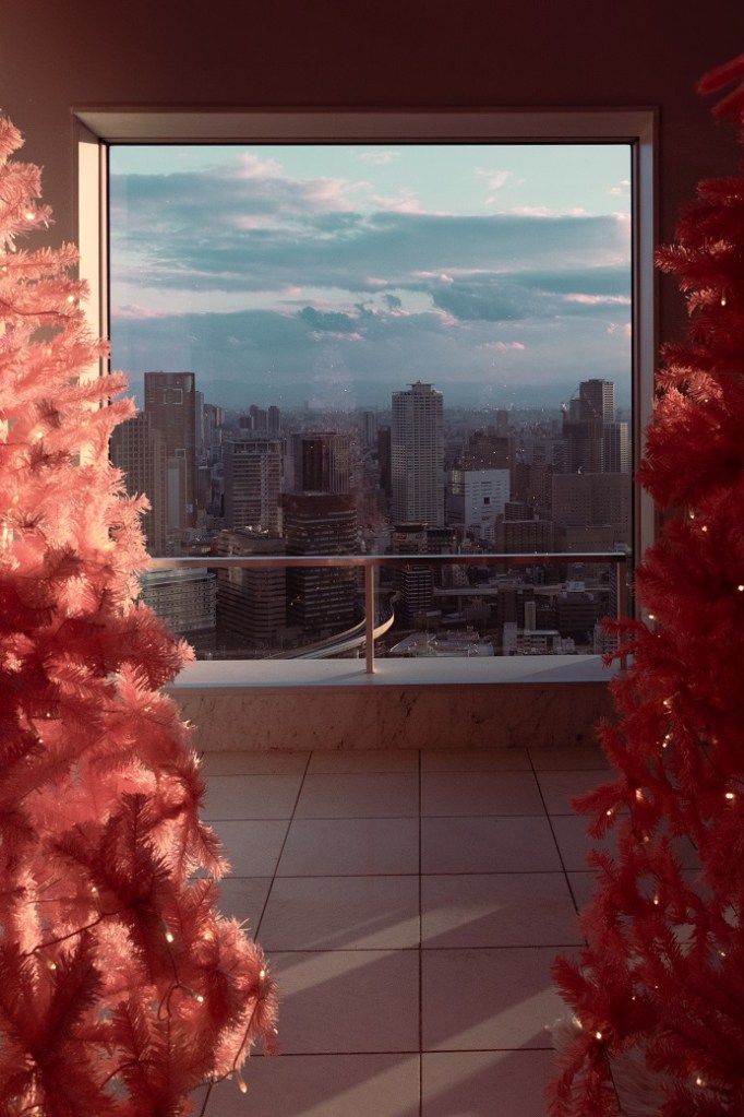 Emeline Lee - Christmas at Umeda Sky Building